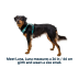 Облегченная шлейка для собак Ruffwear Hi &amp; Light&trade; M 69-81 см Зеленый - фото 11
