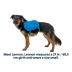 Шлейка-рюкзак для собаки Ruffwear Approach&trade; S Синий - фото 2