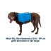 Шлейка-рюкзак для собаки Ruffwear Approach&trade; S Синий - фото 3