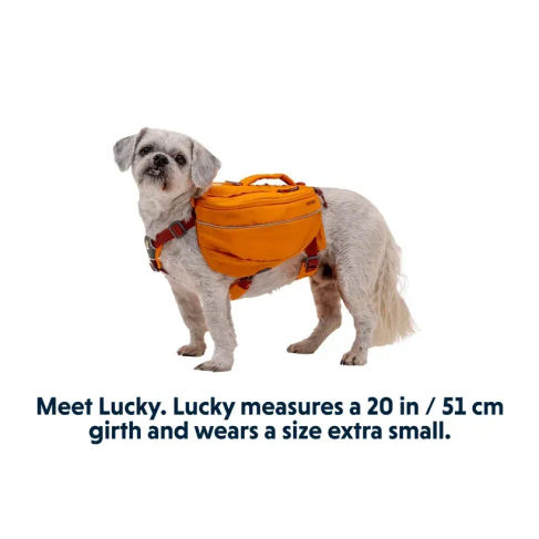 Шлейка-рюкзак для собаки Ruffwear Approach&trade; S Оранжевый - фото 8