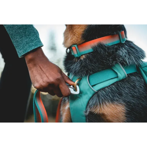 Шлейка-рюкзак для собак Ruffwear Front Range&trade; XS Зелений - фото 10