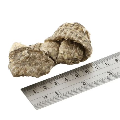 Натуральні ласощі для собак з 100% Шкіри Білої Риби Fish4Dogs Sea Jerky Рибні вузли 100 г - фото 3
