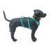 Манекен у вигляді собаки Ruffwear Otis POP&trade; Stuffed Dog 76 x 63,5 x 23 см - фото 1