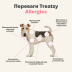 Гіпоалергенний вітамінний комплекс для собак Treatsy Allergies 180 г 60 шт - фото 4
